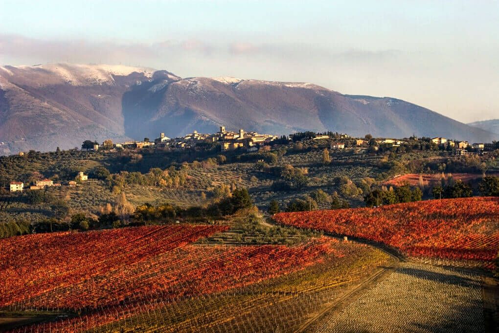 ekskurzia-umbria-italia-pochivka-montefalco-екскурзия-почивка-италия-умбрия-монтефалко