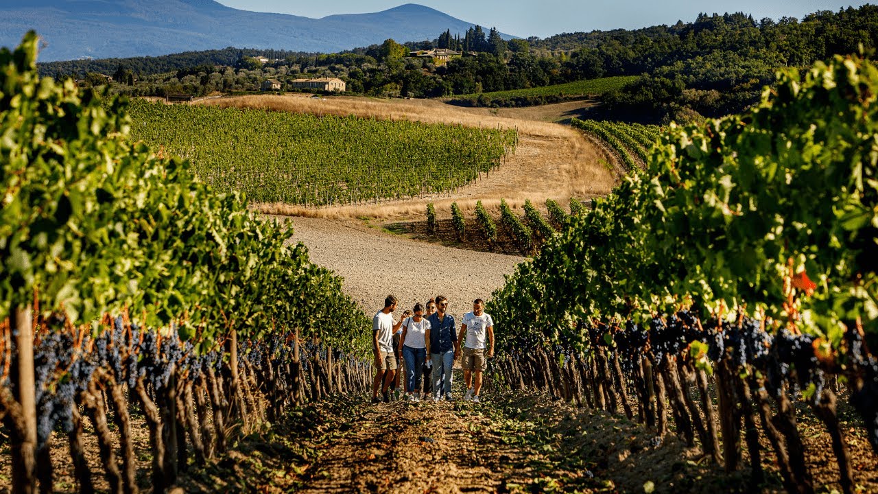 vinen-turizam-italia-toskana-kianti-web-tours-винен-туризъм-италия-тоскана-кианти-уеб-турс vinen-turizam-italia-toskana-kianti-web-tours-винен-туризъм-италия-тоскана-кианти-уеб-турс