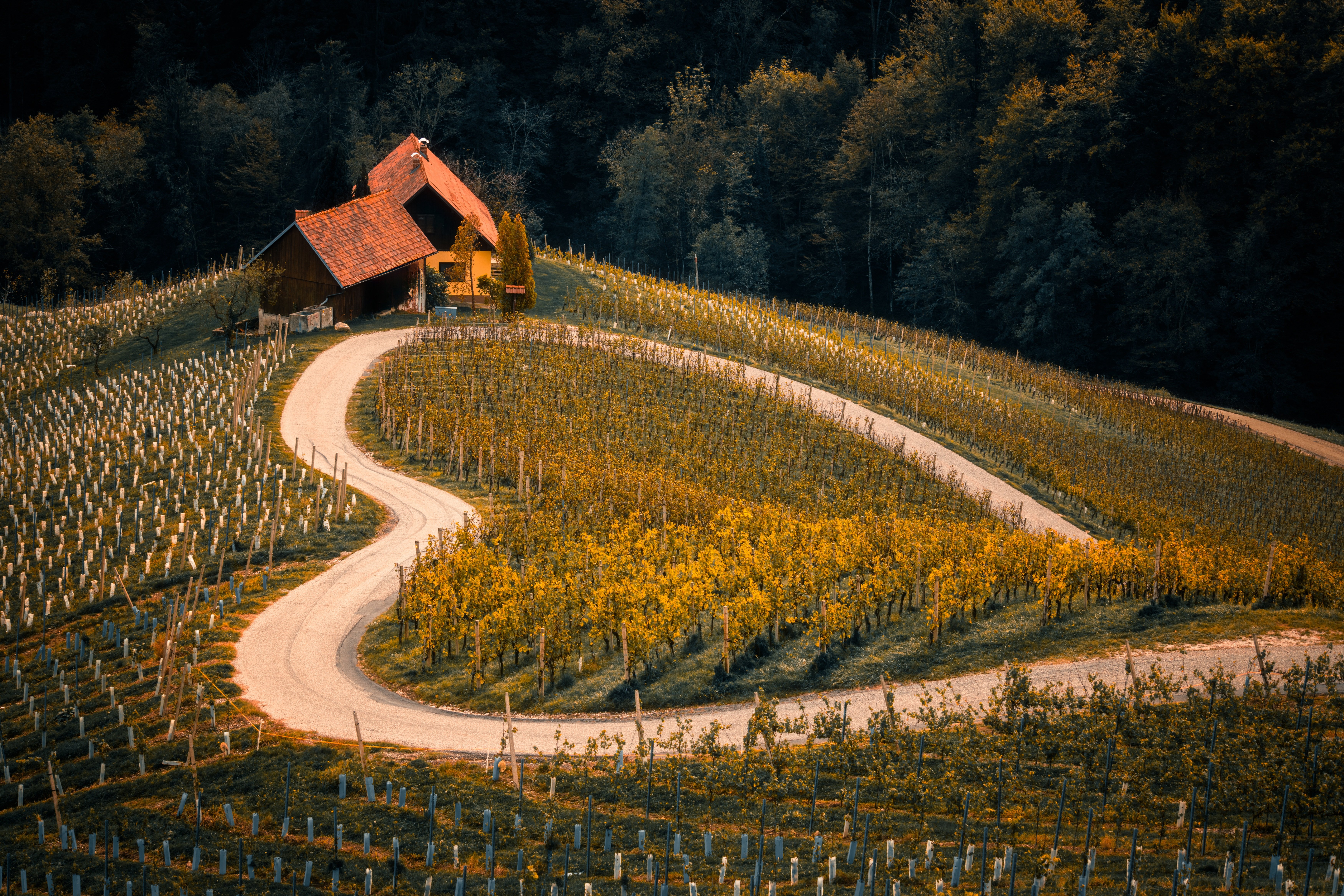 винен-тур-тоскана-италия-вино-уеб-турс-vinen-tur-toskana-italia-web-tours